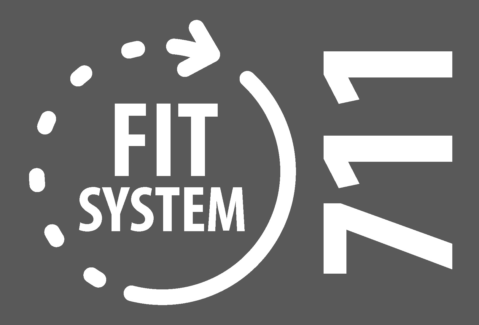 FIT SYSTEM