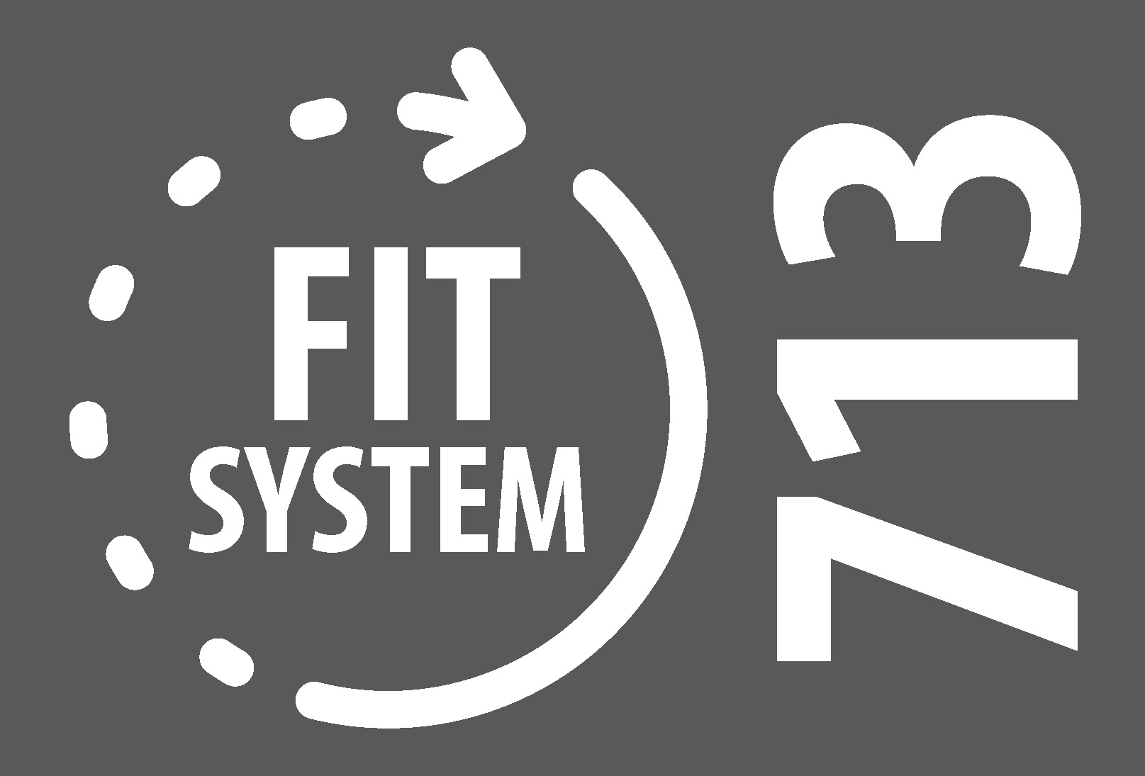 FIT SYSTEM